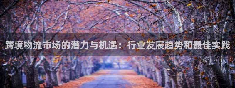 狗子28网赌案件：跨境物流市场的潜力