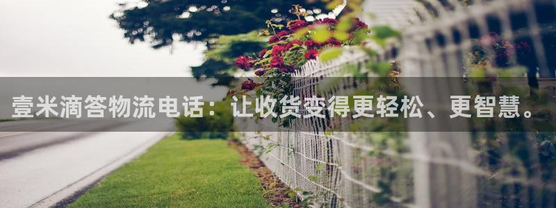 狗子28怎么下载不了：壹米滴答物流电