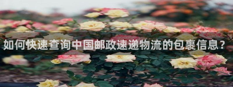 狗子28注册限制怎么解除：如何快速查