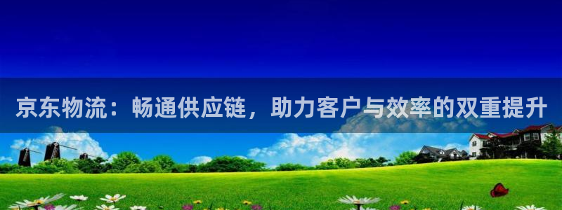 狗子28黑款：京东物流：畅通供应链，