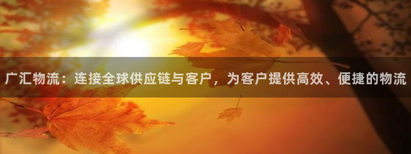 狗子28官网入口app：广汇物流：连