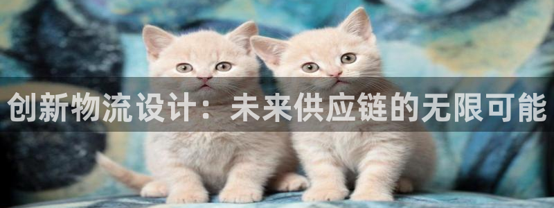 狗子28模拟器在线玩：创新物流设计：
