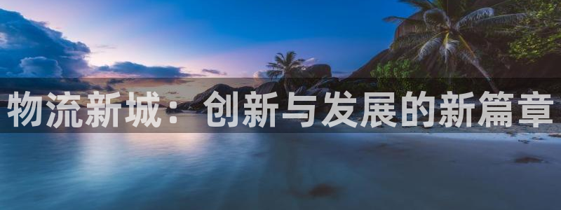 狗子28入口问一问：物流新城：创新与