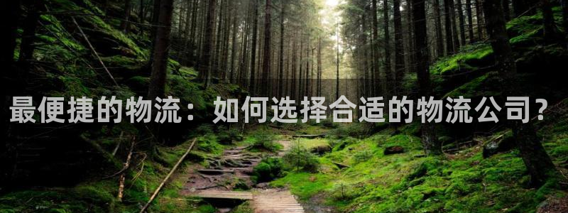 狗子28起来的符号：最便捷的物流：如