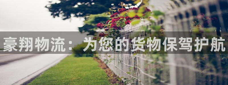 狗子28官网下载APP：豪翔物流：为