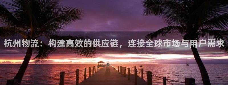 狗子28自行车图片大全：杭州物流：构