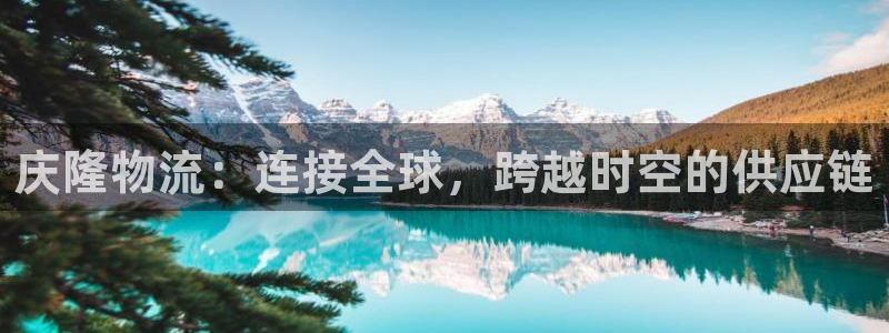 狗子28登录用户名登录不上：庆隆物流