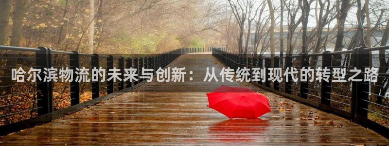 狗子28网站怎么注册：哈尔滨物流的未