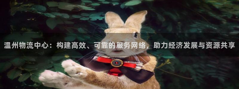 狗子28加拿大模拟器：温州物流中心：