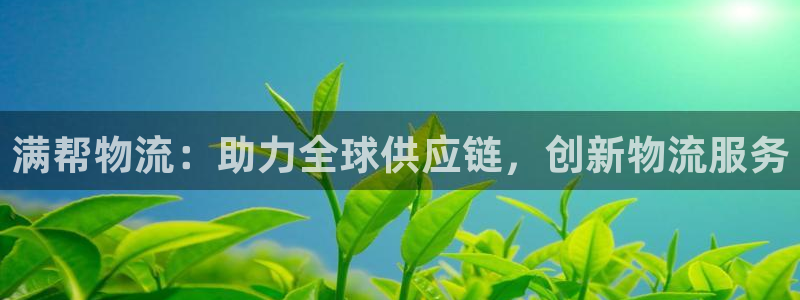 狗子28加拿大是什么：满帮物流：助力