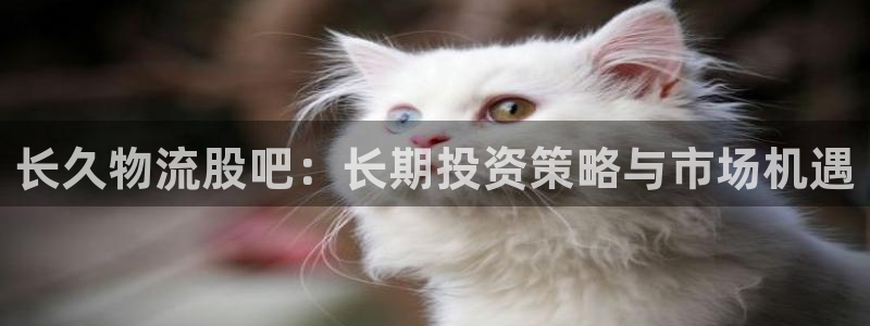 狗子28官网入口pc29官网版：长久