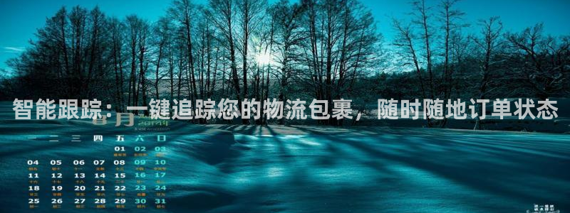狗子28登录网:智能跟踪:一键追踪您