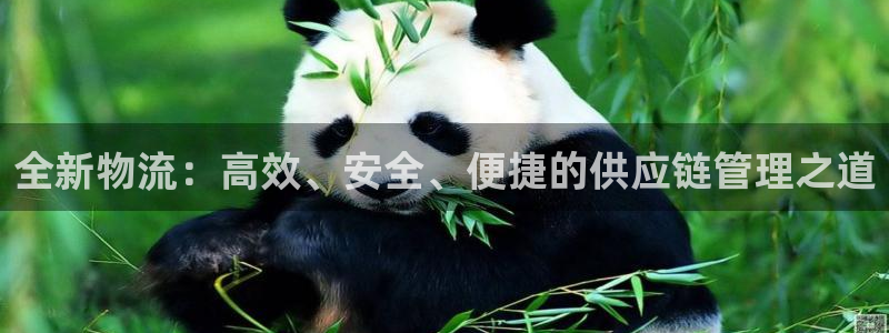 狗子28加拿大真假怎么看：全新物流：