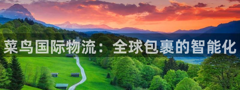 狗子28合法吗：菜鸟国际物流：全球包