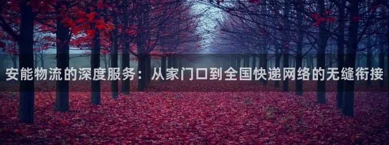 狗子28是什么是赌博吗?：安能物流的