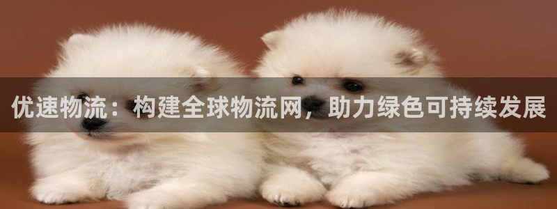 狗子28注册限制怎么解除：优速物流：