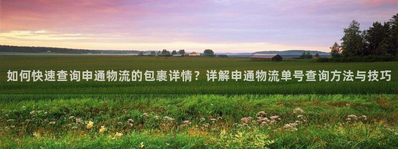 狗子28注册链接：如何快速查询申通物