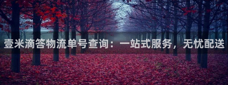 狗子28官网下载谁有：壹米滴答物流单