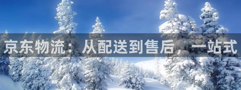 狗子28充值不到账怎么办：京东物流：从配送到售后，一站式