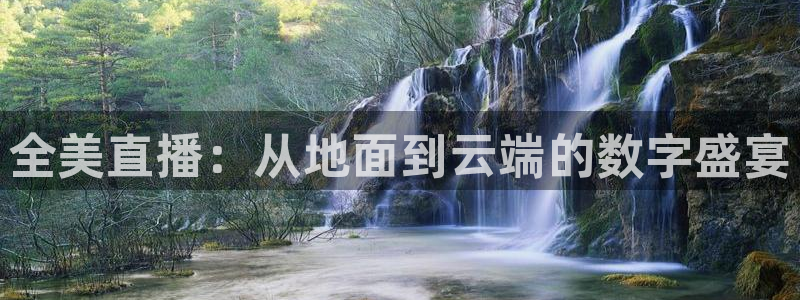 看球吧雨燕直播