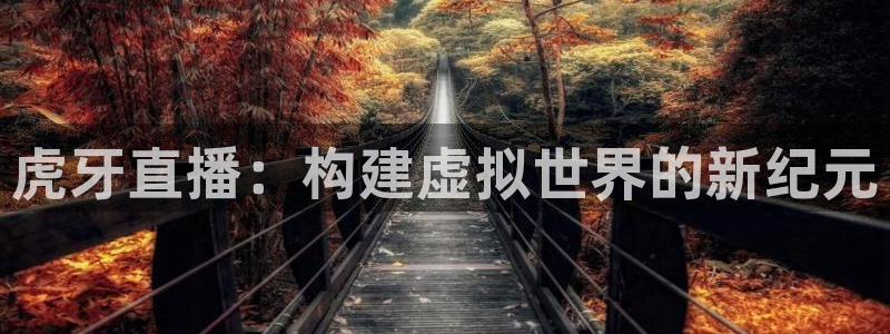 24直播吧 看球吧