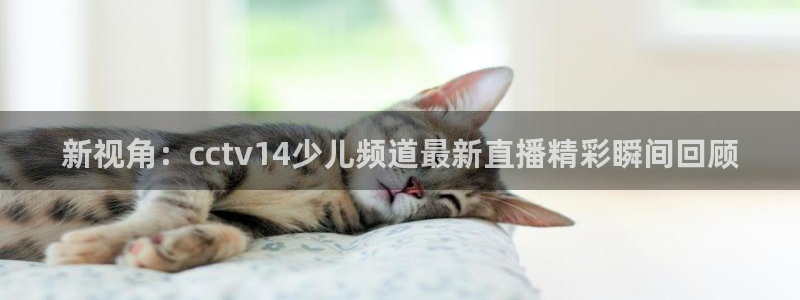 新闻图片