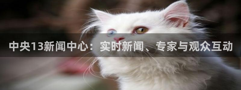 就要直播nba看球吧：中央13新闻中心：实时新闻、专家与观众互动