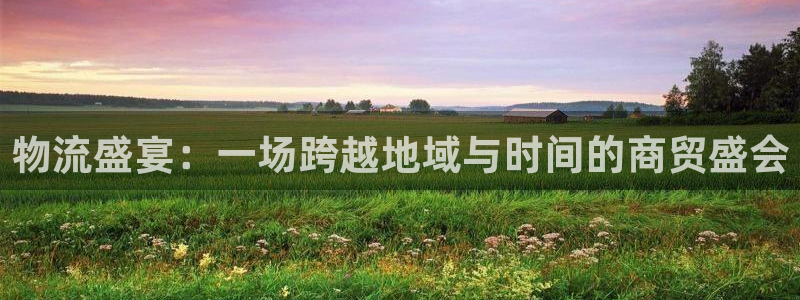 狗子28官网多少:物流盛宴:一场跨越