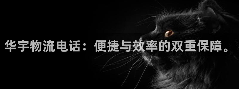 狗子28官网入口app：华宇物流电话