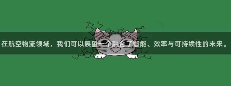 狗子28充值不到账怎么办:在航空物流