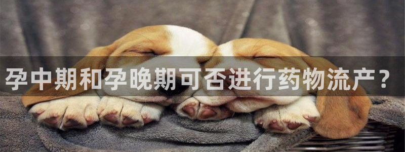 狗子28初始资金密码在哪里改:孕中期