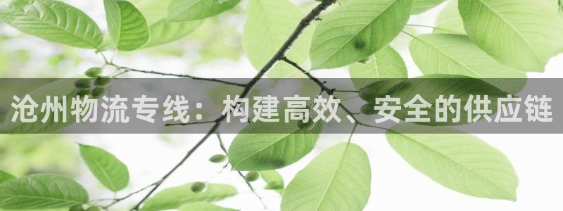狗子28app怎么注册账号:沧州物流