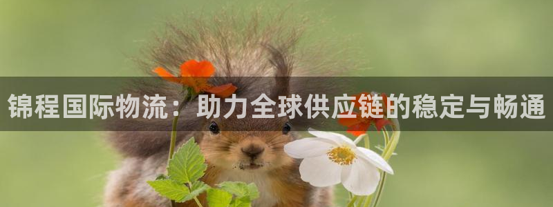 狗子28官网开奖结果预测查询:锦程国