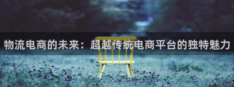 狗子28连接：物流电商的未来：超越传统电商平台的独特魅力